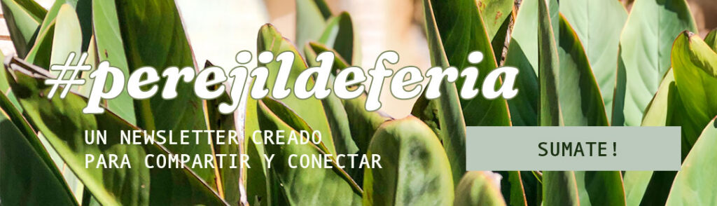 Suscribete al newsletter