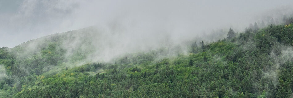 Vista de la sierra Isaba