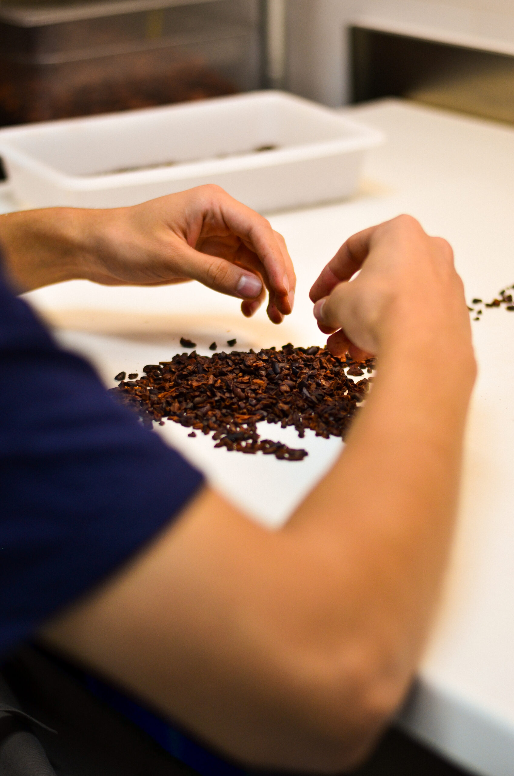 Proceso de descascarillado