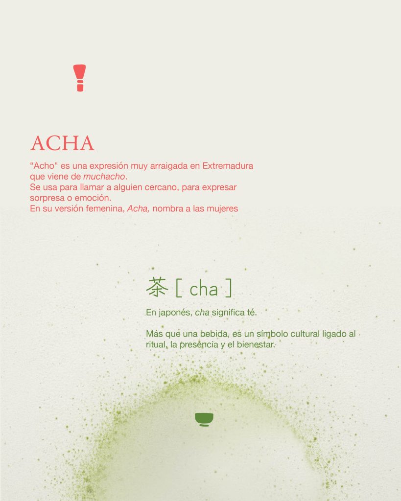 diseño de feed instagram estrategia de marca