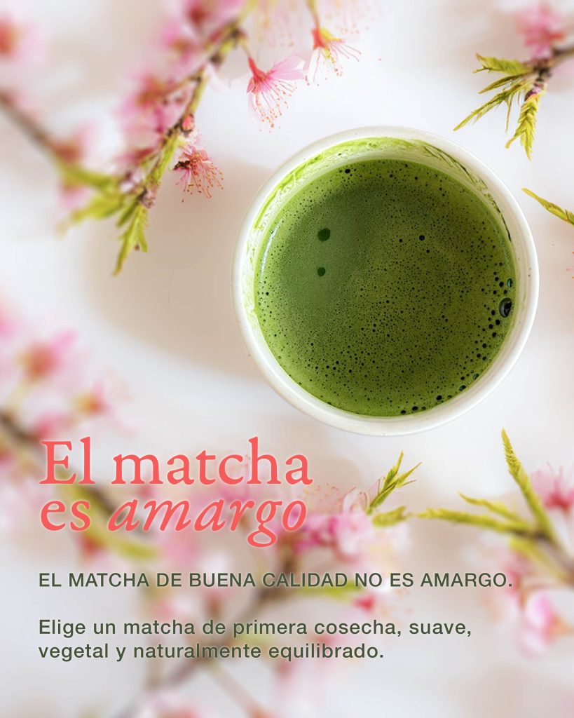 Creación de tipologías de contenido para Acha.matcha