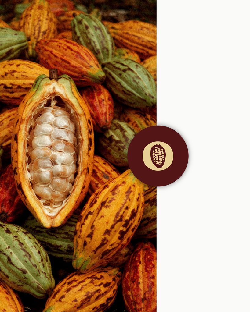 Look and feel de imágenes- Rebranding La Diosa del Cacao