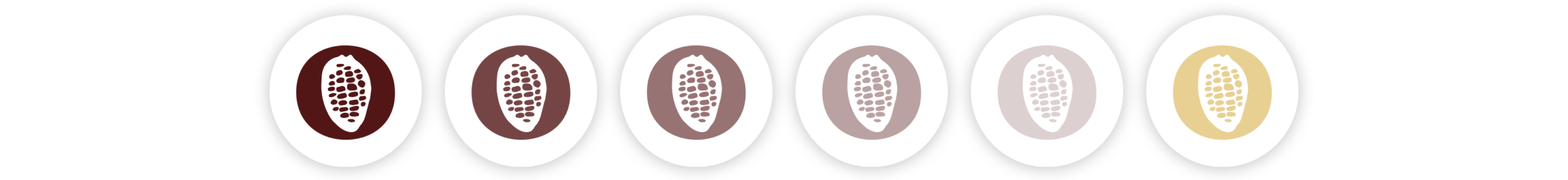 Paleta cromática principal del rebranding de La Diosa del Cacao